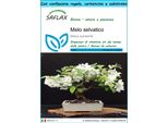 Saflax Set Regalo - Melo Selvatico - 30 Semi - Malus