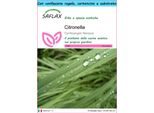Saflax Set Regalo - Citronella - 50 Semi - Cymbopogon