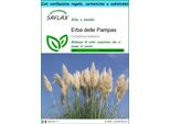 Saflax Set Regalo - Erba Delle Pampas - 200 Semi - Cortaderia