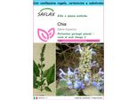 Saflax Set Regalo - Chia - 500 Semi - Salvia