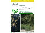 Saflax Insieme Di Coltivazione - Lino Delle Fate Gigante - 10 Semi - Stipa