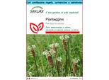 Saflax Set Regalo - Piantaggine - 100 Semi - Plantago