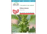 Saflax Set Regalo - Ortica Minore - 150 Semi - Urtica
