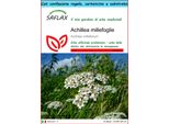 Saflax Set Regalo - Achillea Millefoglie - 200 Semi - Achillea