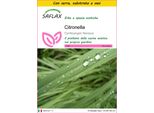 Saflax Insieme Di Coltivazione - Citronella - 50 Semi - Cymbopogon
