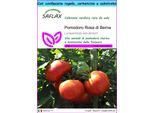 Saflax Set Regalo - Pomodoro Rosa Di Berna - 10 Semi - Lycopersicon