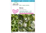 Saflax Set Regalo - Stevia - 100 Semi - Stevia