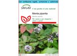 Saflax Set Regalo - Menta Piperita - 300 Semi - Mentha