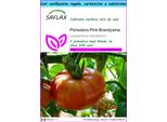 Saflax Set Regalo - Pomodoro Pink Brandywine - 10 Semi - Lycopersicon