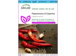 Saflax Set Regalo - Peperoncino Di Cayenna - 20 Semi - Capsicum