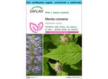 Saflax Set Regalo - Menta Coreana - 1200 Semi - Agastache