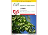 Saflax Insieme Di Coltivazione - Luppolo - 50 Semi - Humulus