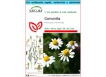 Saflax Set Regalo - Camomilla - 300 Semi - Matricaria