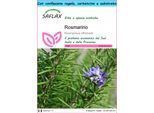 Saflax Set Regalo - Rosmarino - 100 Semi - Rosmarinus