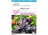 Saflax Set Regalo - Basilico Rosso - 200 Semi - Ocimum