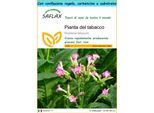 Saflax Set Regalo - Pianta Del Tabacco - 250 Semi - Nicotiana