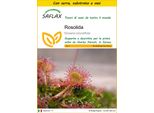 Saflax Insieme Di Coltivazione - Rosolida - 50 Semi - Drosera