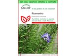Saflax Garden To Go - Rosmarino - 100 Semi - Rosmarinus