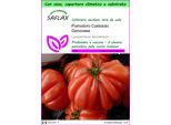 Saflax Garden To Go - Pomodoro Costoluto Genovese - 10 Semi - Lycopersicon