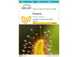 Saflax Set Regalo - Drosera - 200 Semi - Drosera
