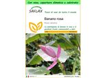 Saflax Garden To Go - Banano Rosa - 8 Semi - Musa