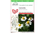 Saflax Garden To Go - Camomilla - 300 Semi - Matricaria