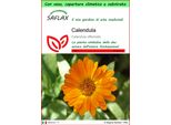 Saflax Garden To Go - Calendula - 50 Semi - Calendula
