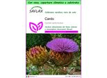 Saflax Garden To Go - Cardo - 50 Semi - Cynara