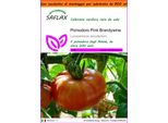 Saflax Garden In The Bag - Pomodoro Pink Brandywine - 10 Semi - Lycopersicon