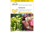 Saflax Insieme Di Coltivazione - Sarracenia - 10 Semi - Sarracenia