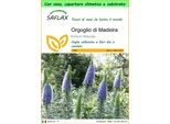 Saflax Garden To Go - Orgoglio Di Madeira - 100 Semi - Echium