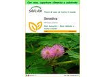 Saflax Garden To Go - Sensitiva - 70 Semi - Mimosa