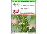 Saflax Garden To Go - Ortica Minore - 150 Semi - Urtica