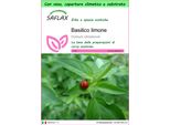 Saflax Garden To Go - Basilico Limone - 200 Semi - Ocimum