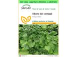 Saflax Garden To Go - Albero Dei Ventagli - 4 Semi - Ginkgo