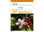 Saflax Garden In The Bag - Achiote - 20 Semi - Bixa