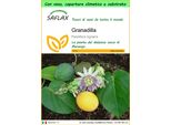 Saflax Garden To Go - Granadilla - 20 Semi - Passiflora