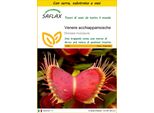 Saflax Insieme Di Coltivazione - Venere Acchiappamosche - 10 Semi - Dionaea