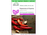 Saflax Garden To Go - Peperoncino Di Cayenna - 20 Semi - Capsicum