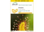 Saflax Insieme Di Coltivazione - Drosera - 200 Semi - Drosera