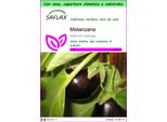 Saflax Garden To Go - Melanzana - 20 Semi - Solanum