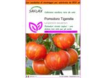 Saflax Garden In The Bag - Pomodoro Tigerella - 10 Semi - Lycopersicon
