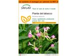 Saflax Garden In The Bag - Pianta Del Tabacco - 250 Semi - Nicotiana
