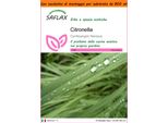 Saflax Garden In The Bag - Citronella - 50 Semi - Cymbopogon