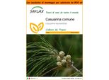 Saflax Garden In The Bag - Casuarina Comune - 200 Semi - Casuarina