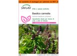 Saflax Garden In The Bag - Basilico Cannella - 200 Semi - Ocimum
