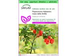 Saflax Garden To Go - Peperoncino Habanero Rosso Delle Antille - 10 Semi - Capsicum