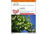 Saflax Garden In The Bag - Luppolo - 50 Semi - Humulus