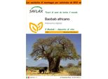 Saflax Garden In The Bag - Baobab Africano - 6 Semi - Adansonia