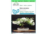 Saflax Garden To Go - Melo Selvatico - 30 Semi - Malus